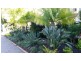 15/11-15 Owens Lane, Southport QLD 4215