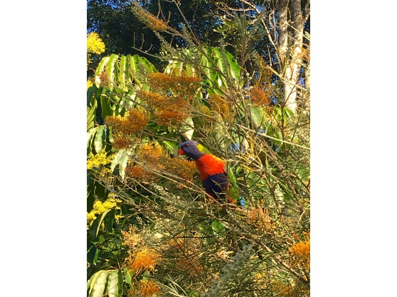 4/6-20 Ben Lomond Drive, Highland Park QLD 4211