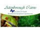 203 Mayers Street, Cairns QLD 4870