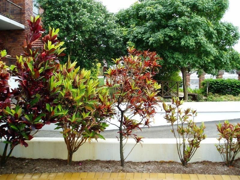 22 Commodore Drive, Paradise Waters QLD 4217