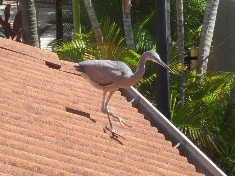 60 Whitby Street, Southport QLD 4215