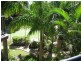 Mermaid Beach QLD 4218
