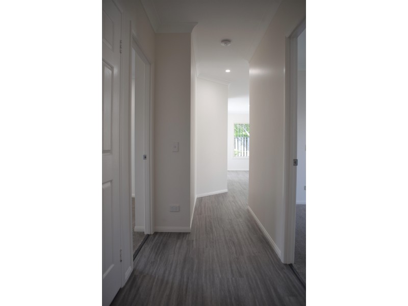 34 Albicore Street, Mermaid Waters QLD 4218