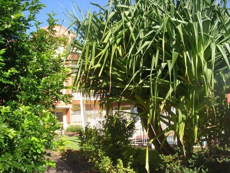 2105 GOLD COAST HWY, Miami QLD 4220