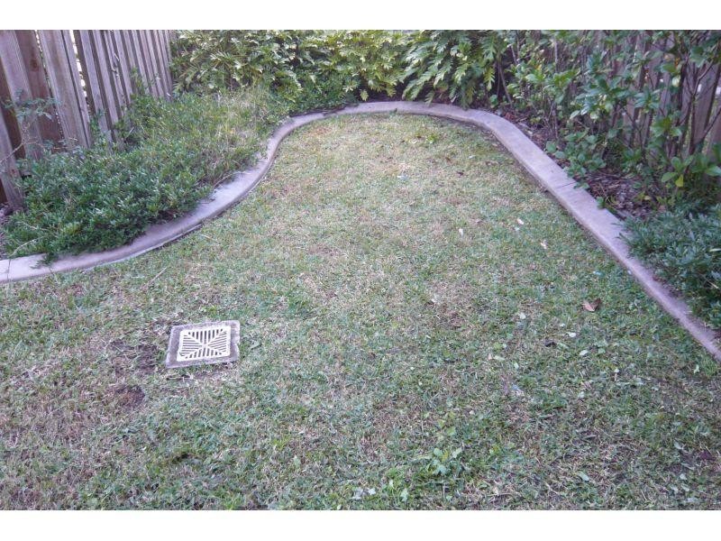 Unit 65/2 Bos Drive, Coomera QLD 4209