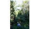 Norman Park QLD 4170