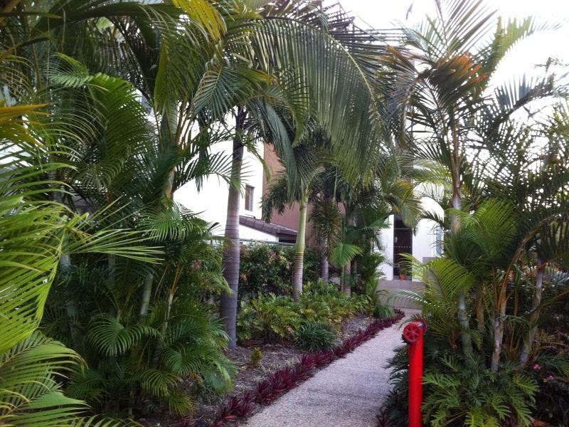 007/1880 Gold Coast Highway, Burleigh Heads QLD 4220