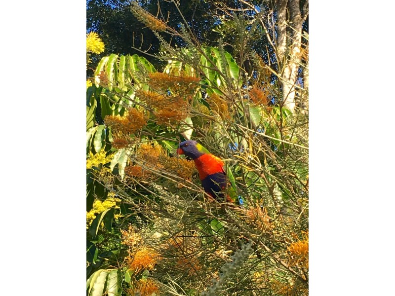 42/6-20 Ben Lomond Drive, Highland Park QLD 4211