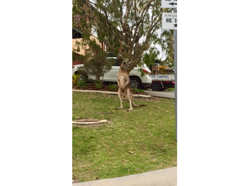 30/6-20 Ben Lomond Drive, Highland Park QLD 4211