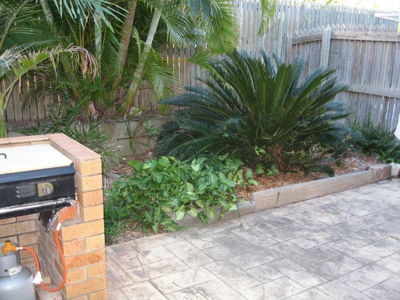 13 Bailey Street, Collingwood Park QLD 4301