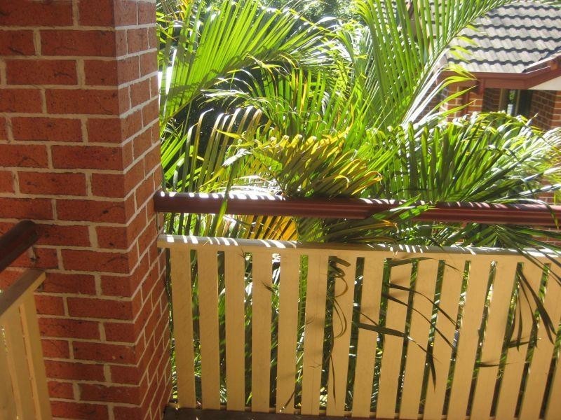 100 Racecourse Road, Bundall QLD 4217