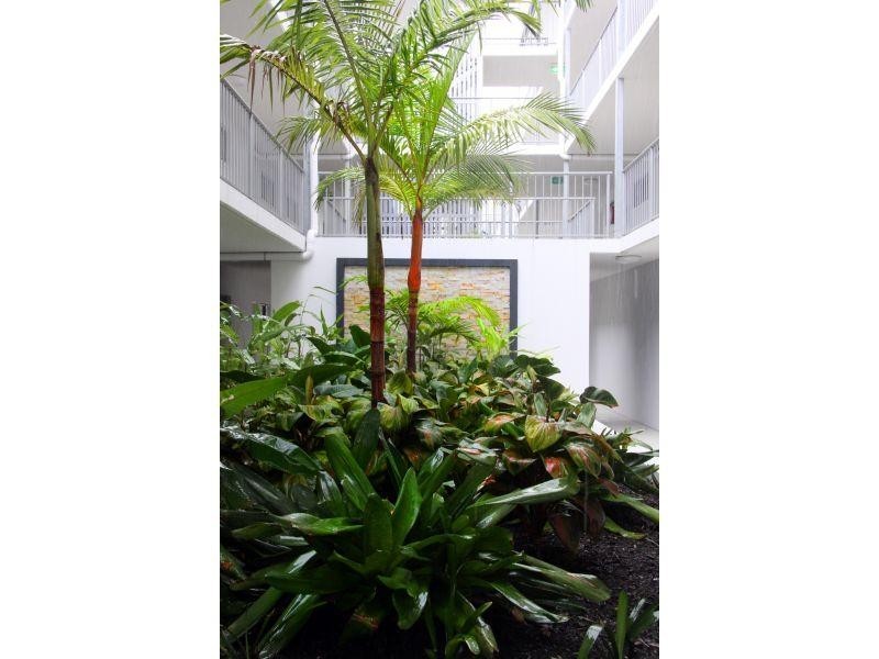 40-52 Primary School Court, Maroochydore QLD 4558