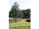 433  Brisbane Road, Arundel QLD 4214