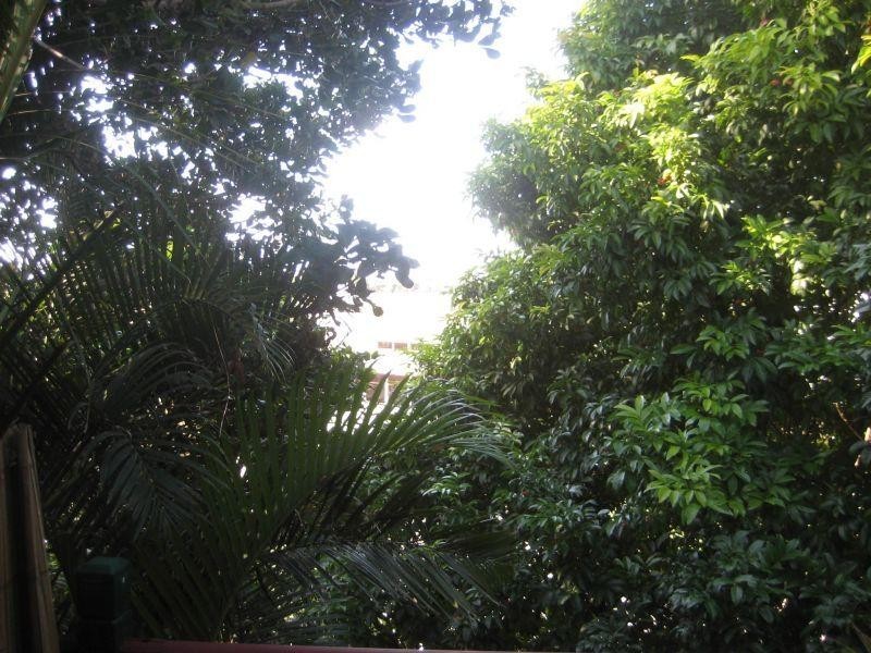 100 Racecourse Road, Bundall QLD 4217