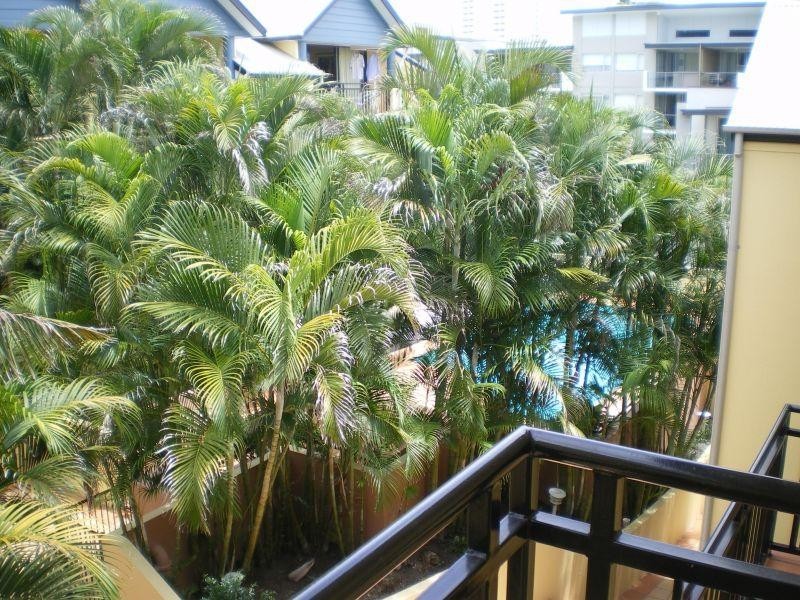 336 Boundary Street, Spring Hill QLD 4000