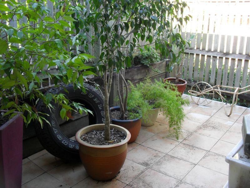 Townhouse 20/36 Weedons Road, Nerang QLD 4211