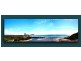 42 Duringan Street, Currumbin QLD 4223