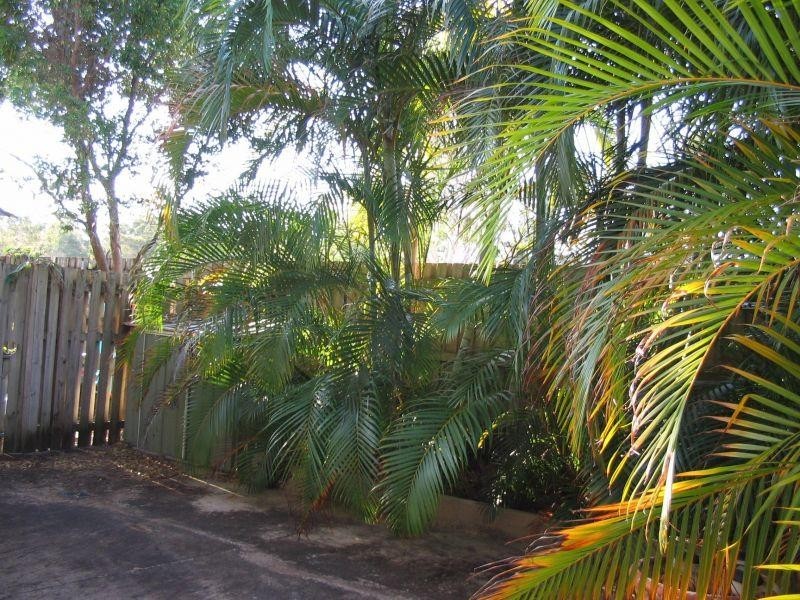 93/2  Falcon Way, Tweed Heads South NSW 2486