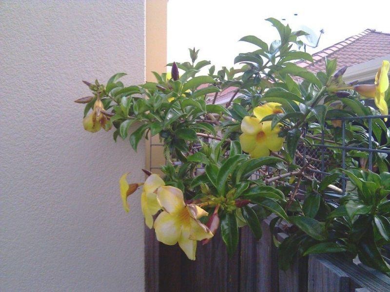 67/2 Langport Parade, Mudgeeraba QLD 4213