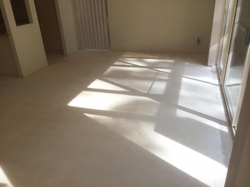 433  Brisbane Road, Arundel QLD 4214