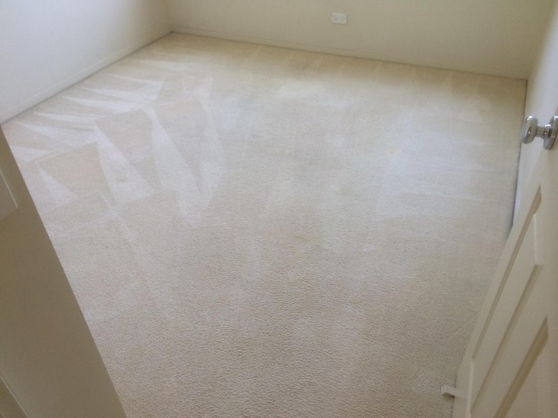 433  Brisbane Road, Arundel QLD 4214