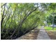 10 Pidgeon Close, West End QLD 4101