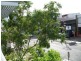 121/83 Robertson Street, Fortitude Valley QLD 4006