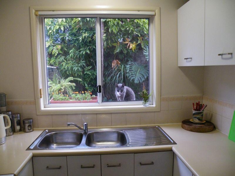 42 Murev Way, Carrara QLD 4211