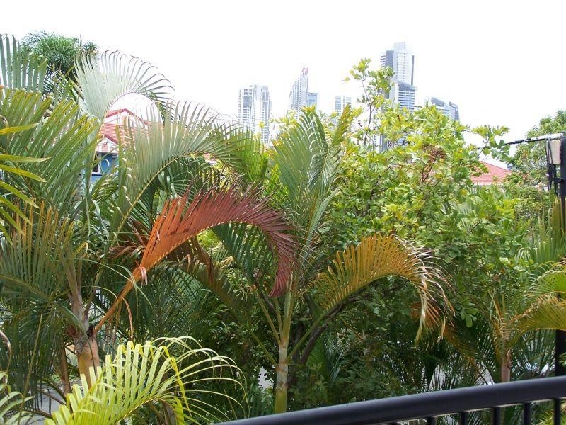 16-24 Purli Street, Chevron Island QLD 4217