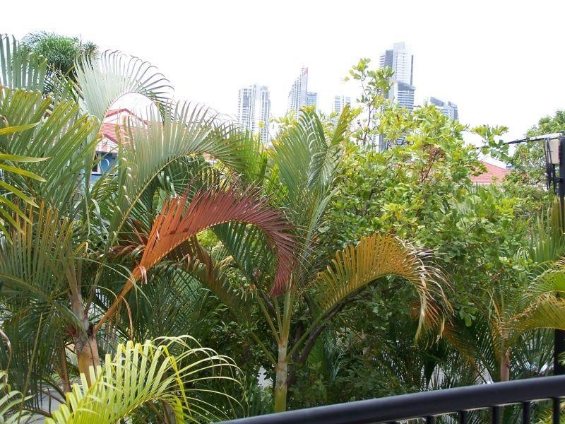 16-24 Purli Street, Chevron Island QLD 4217