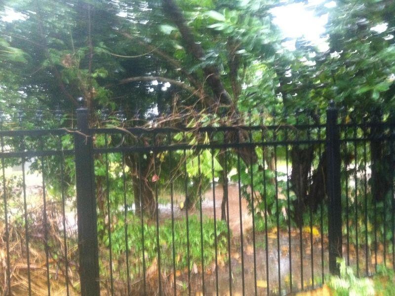 343 343/2 Rigg Street, Woree QLD 4868