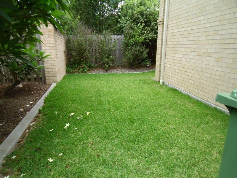 81/2 Bos Drive, Coomera QLD 4209