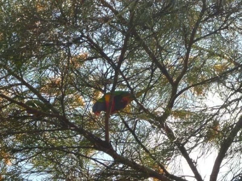 Villa 4/380 Nottingham Road, Parkinson QLD 4115