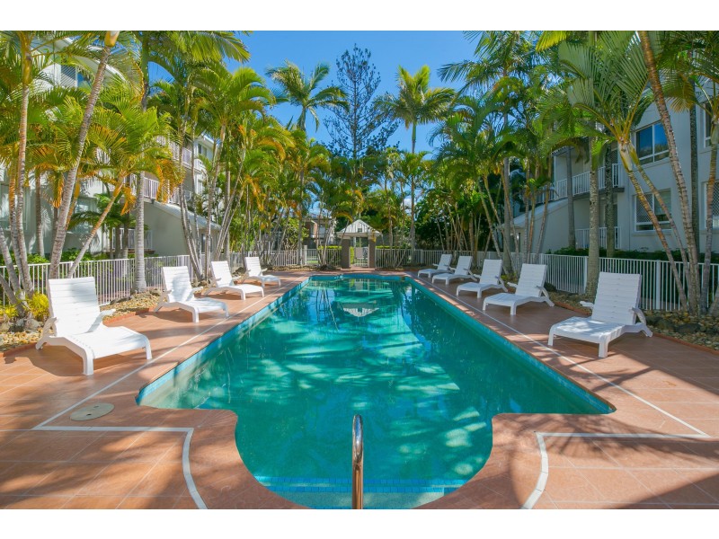 35 Palm Avenue, Surfers Paradise QLD 4217