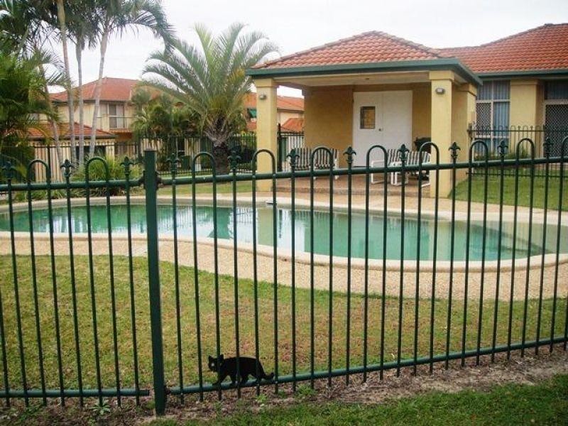 152 Palm Meadows Drive, Carrara QLD 4211