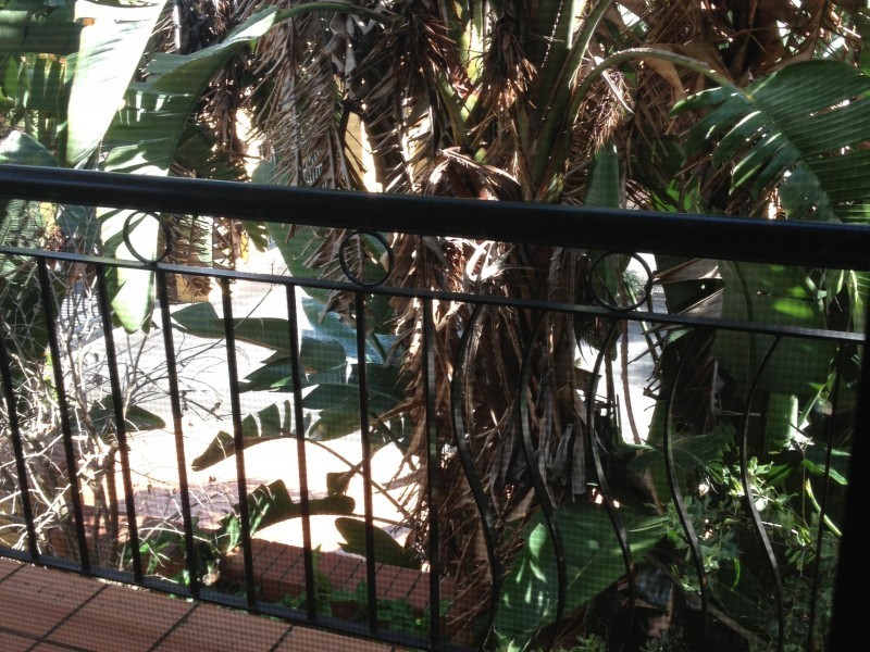 18 Altandi St, Sunnybank QLD 4109