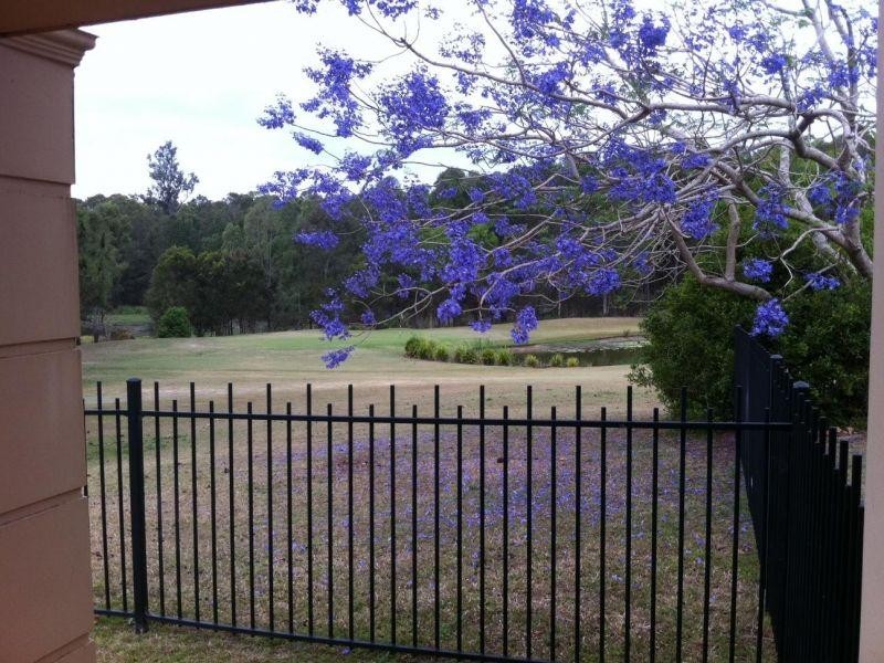 433  Brisbane Road, Arundel QLD 4214