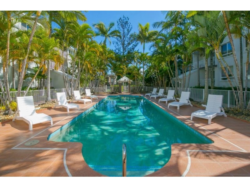 35 Palm Avenue, Surfers Paradise QLD 4217