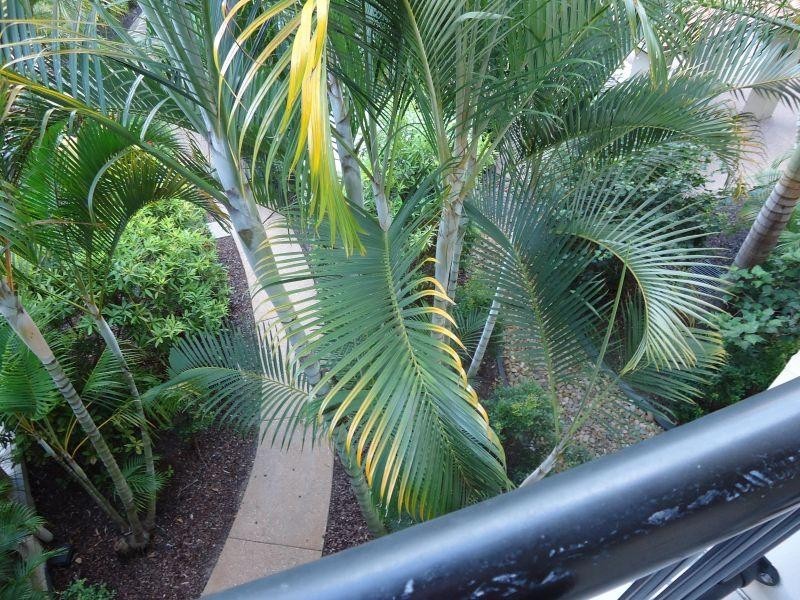 Mermaid Beach QLD 4218