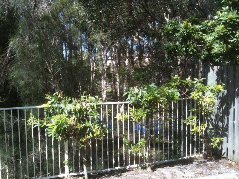 34 ALBICORE, Mermaid Waters QLD 4218