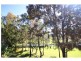 43 Ballybunyon, Hope Island QLD 4212