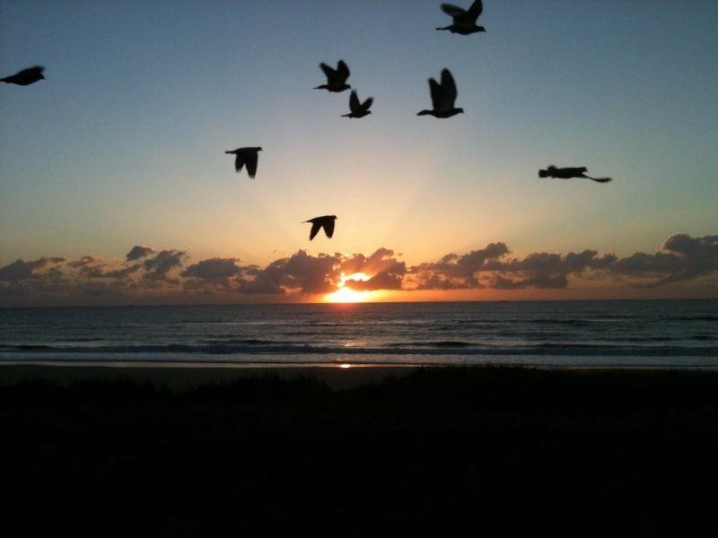 34 Albicore Street, Mermaid Waters QLD 4218