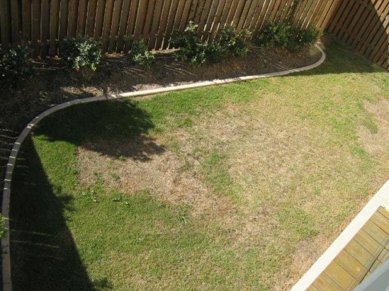 53/1 Sauvignon Parade, Upper Coomera QLD 4209