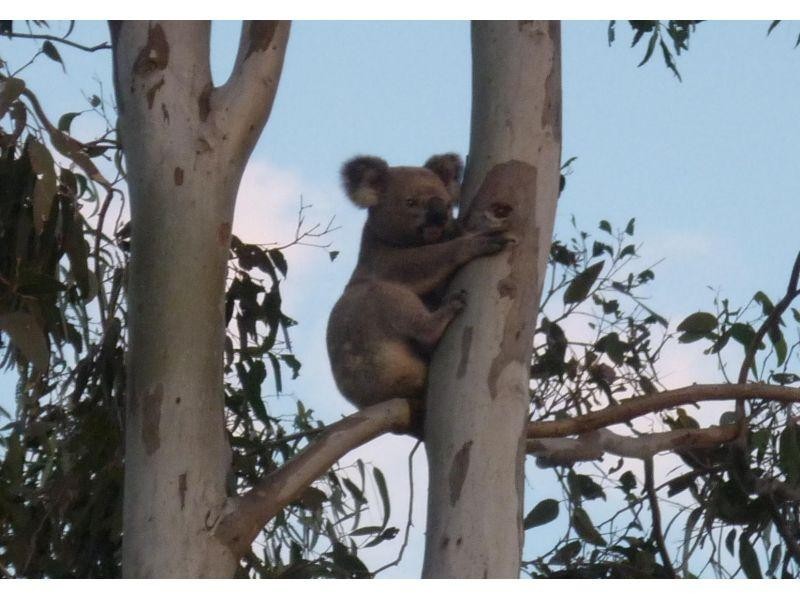 8/6 Harbourview Court, Cleveland QLD 4163