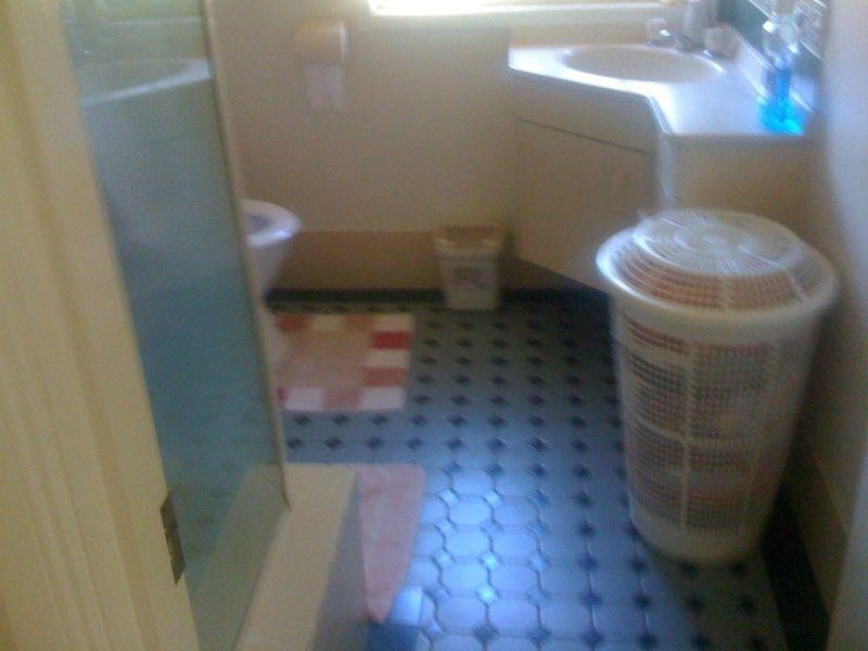 13 Bailey Street, Collingwood Park QLD 4301