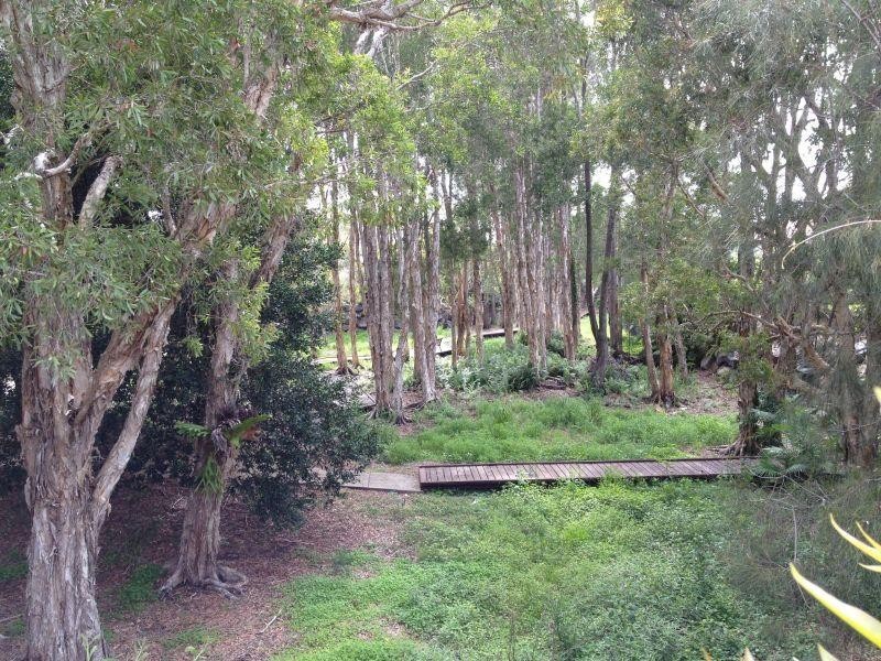 34 Albicore Street, Mermaid Waters QLD 4218