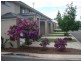 116-136 Station Road, Loganlea QLD 4131