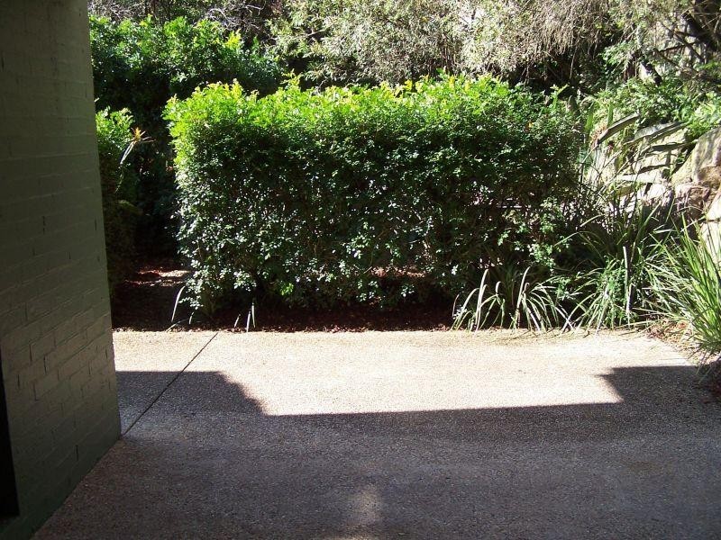 316 Long Street, Graceville QLD 4075