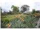175 Fryar Road, Eagleby QLD 4207