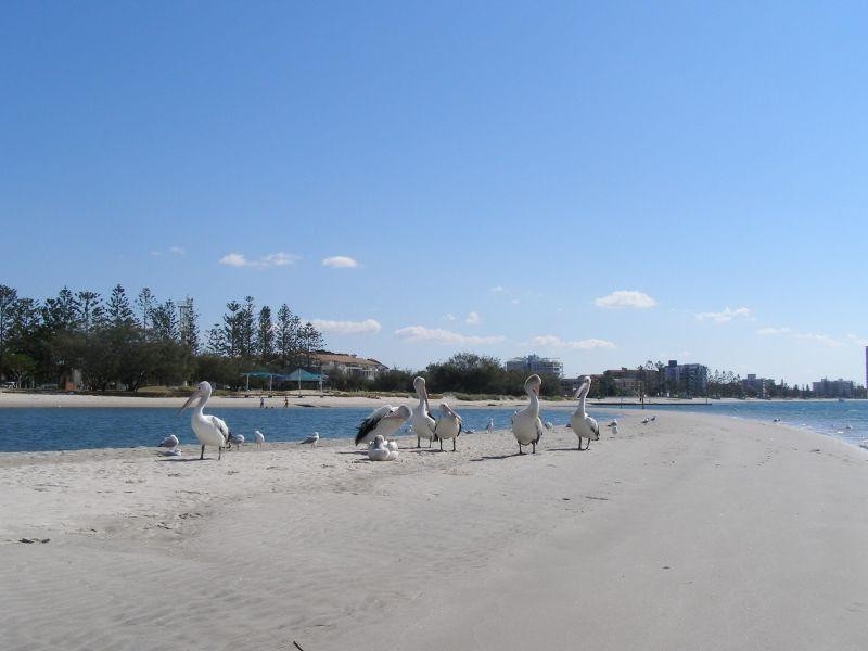 360 Marine Parade, Labrador QLD 4215